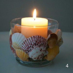 Adult Craft: Seashel